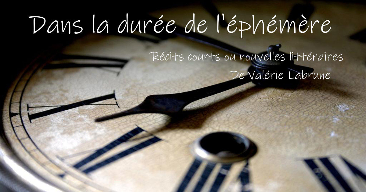 Dans la durée de l'éphémère Récits courts ou nouvelles littéraires de Valérie Labrune